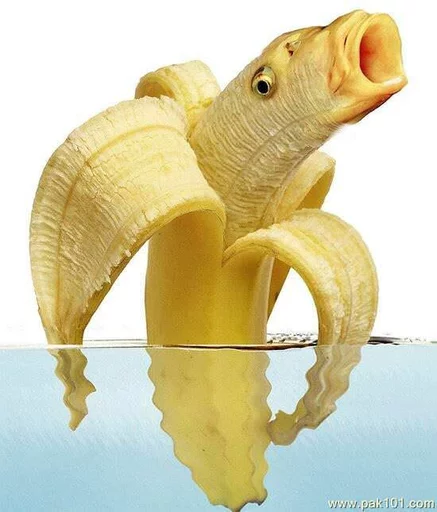Banana fish for sam & far 😐🍌 Telegram sticker pack