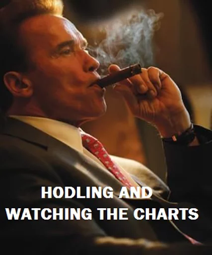 Bitcoin Memes sticker 9