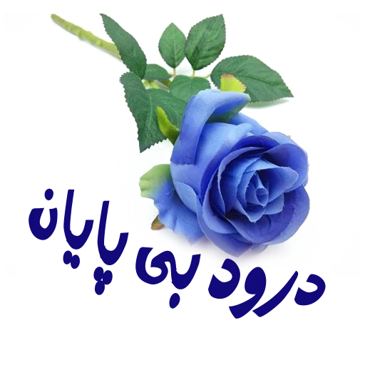 flower sticker 3