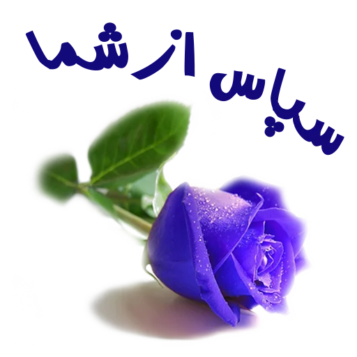 flower sticker 5
