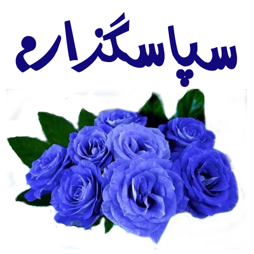 flower sticker 6