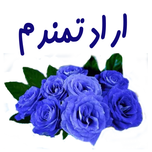 flower sticker 10