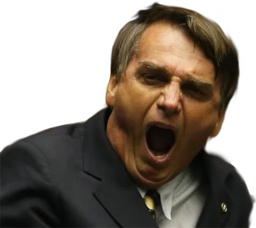 Bolsonaro sticker 2