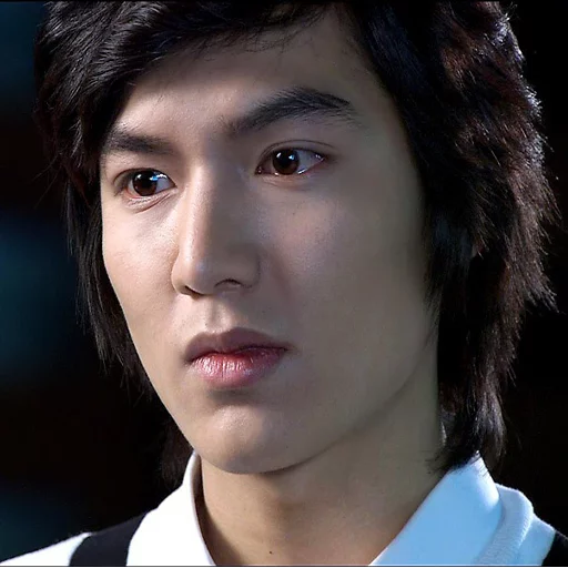 @JONAFZAN BOYS OVER FLOWERS sticker 10