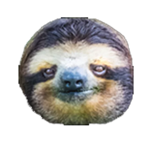 twitch including bttv sticker 12