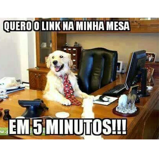 Passa o link / @capimcanela sticker 12