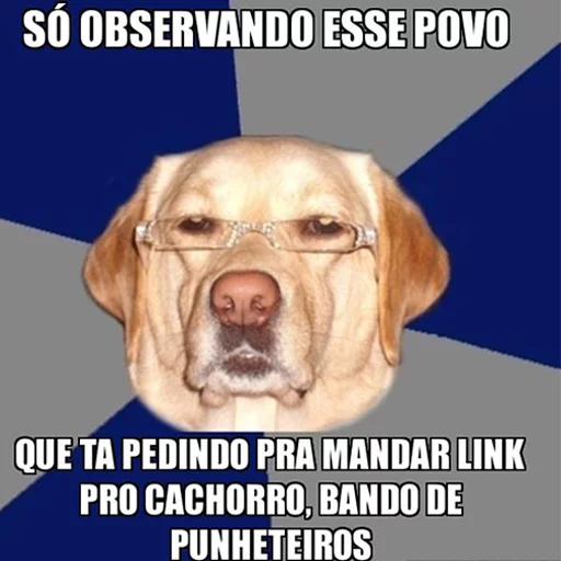 Passa o link / @capimcanela sticker 3