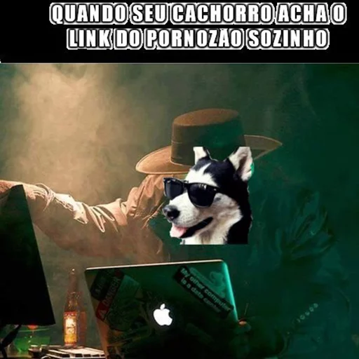 Passa o link / @capimcanela sticker 5