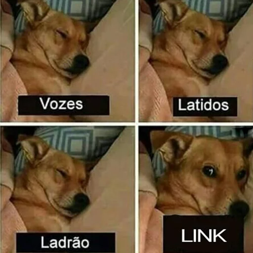 Passa o link / @capimcanela sticker 6