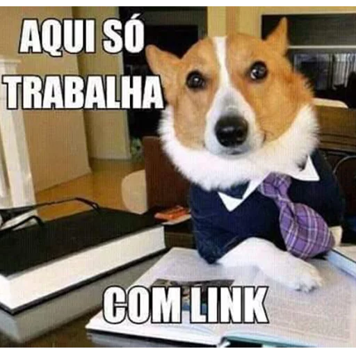 Passa o link / @capimcanela sticker 8
