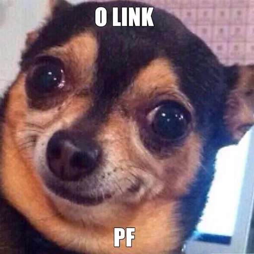 Passa o link / @capimcanela sticker 9
