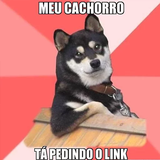 Passa o link / @capimcanela sticker 10