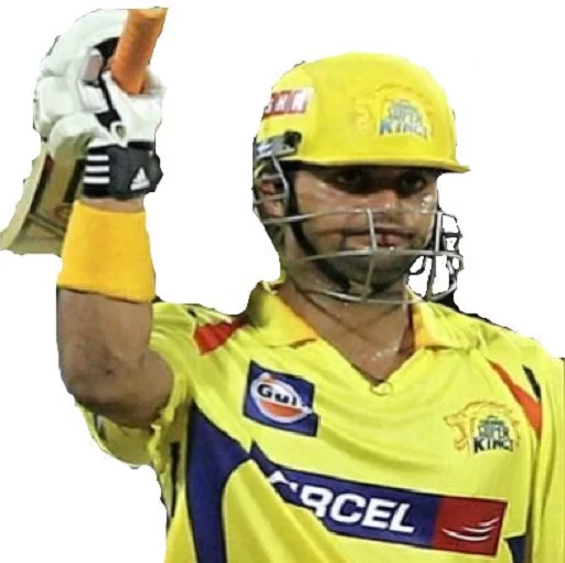 Chennai Super Kings
By,FRAISHU sticker 3