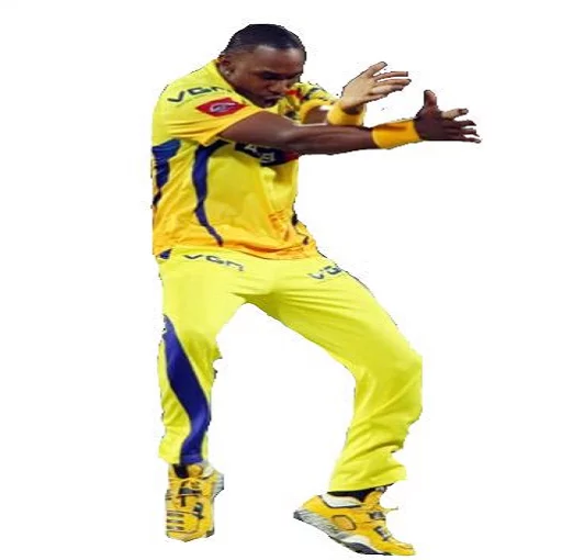 Chennai Super Kings
By,FRAISHU sticker 4