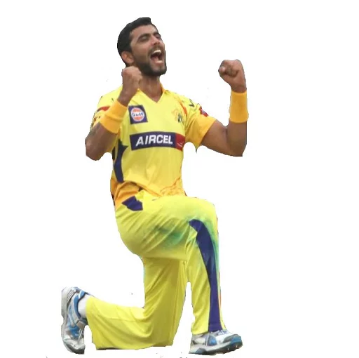 Chennai Super Kings
By,FRAISHU sticker 5