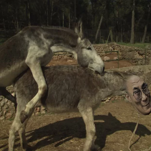 dalai lama (Old Bald Donkey) sticker 2