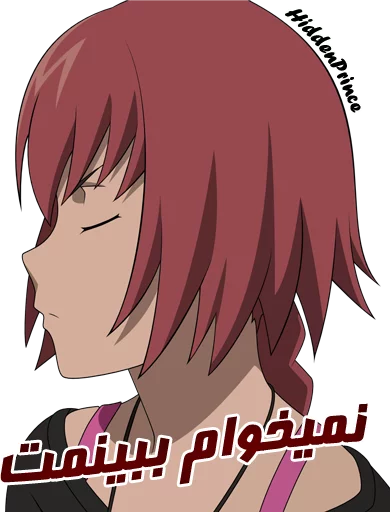 Darker Than Black sticker 11