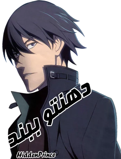 Darker Than Black sticker 6