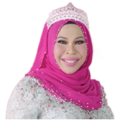 Datuk Seri Vida sticker 3