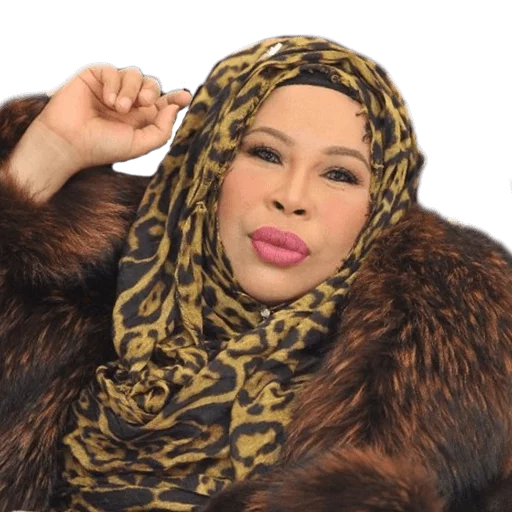 Datuk Seri Vida sticker 6