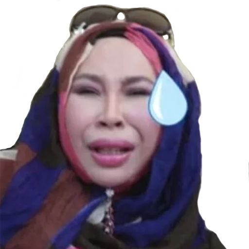 Datuk Seri Vida sticker 7