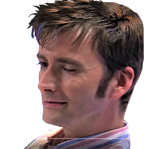 David Tennant sticker 11