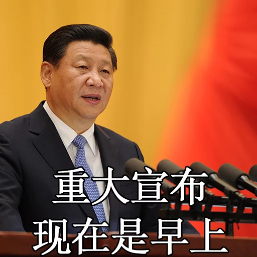 习近平表情包 sticker 12
