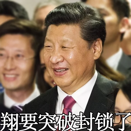 习近平表情包 sticker 4