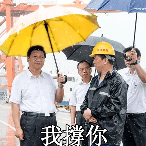 习近平表情包 sticker 8
