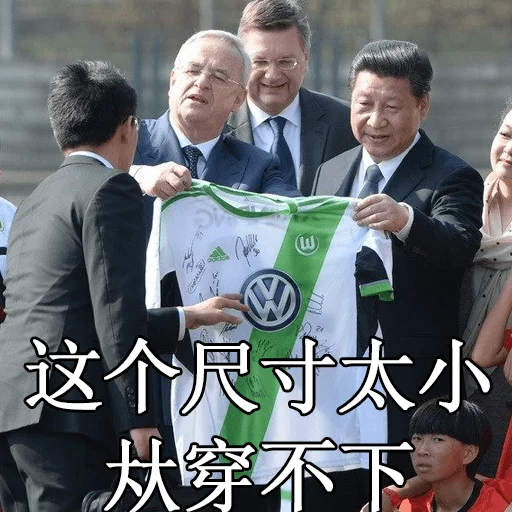 习近平表情包 sticker 9