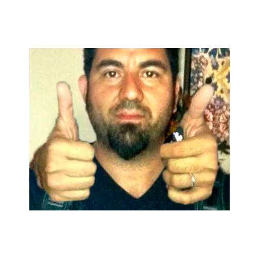 deftones sticker 11