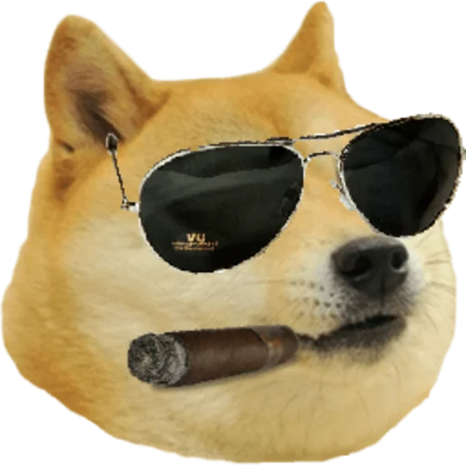 Dogecoin sticker 11