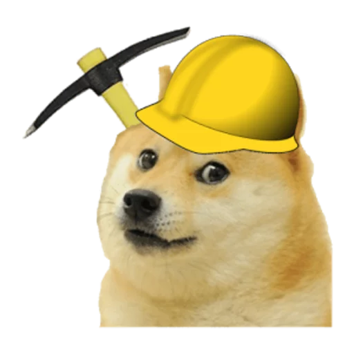 Dogecoin sticker 3