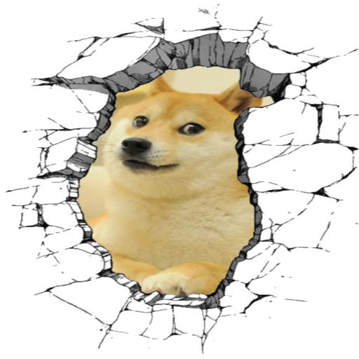 Dogecoin sticker 10