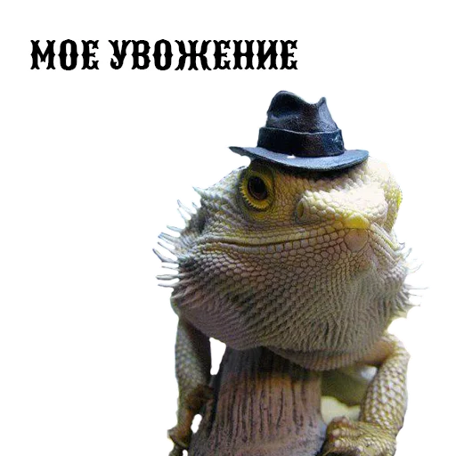 a bit of Drugshko sticker 12