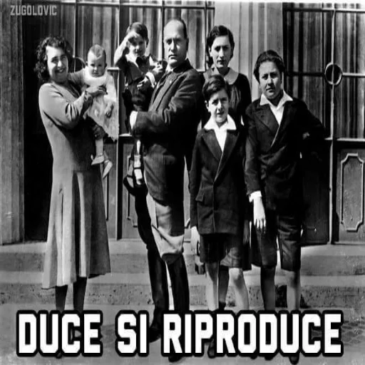 DVCE CHE FA COSE sticker 7