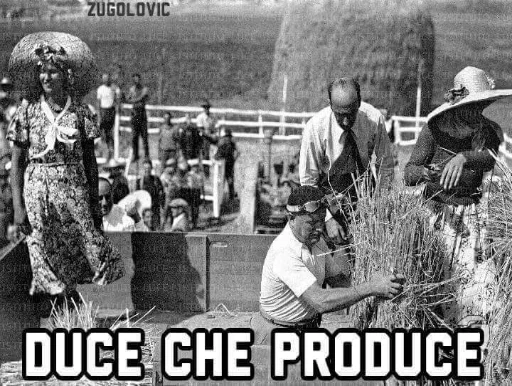 DVCE CHE FA COSE sticker 8