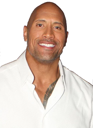 Dwayne Johnson (The Rock) Sticker Pack sticker 3