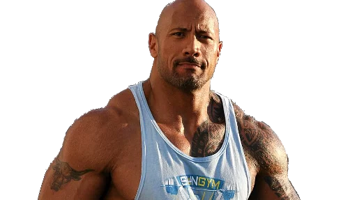 Dwayne Johnson (The Rock) Sticker Pack sticker 8
