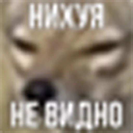 ебучий шакал sticker 9