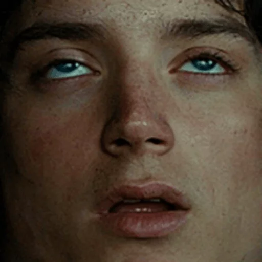 Elijah Wood Telegram sticker pack