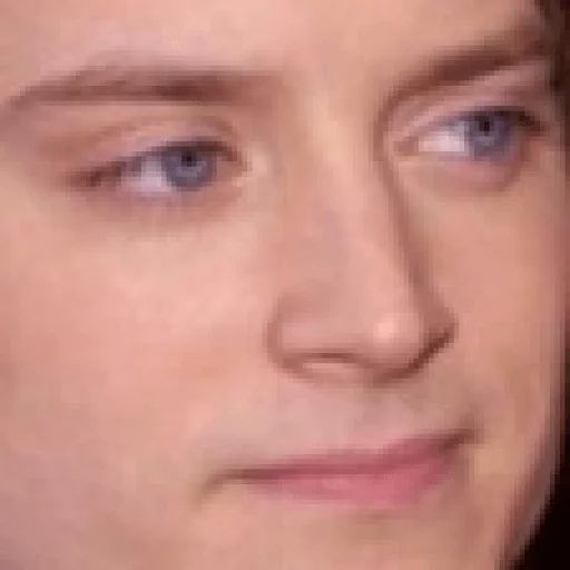 Elijah Wood sticker 14