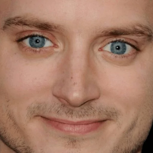 Elijah Wood sticker 15