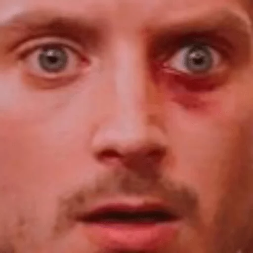 Elijah Wood sticker 17