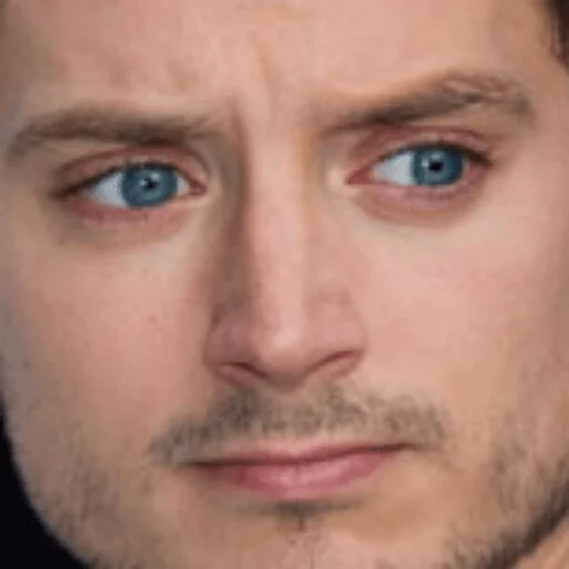 Elijah Wood sticker 18