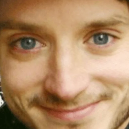Elijah Wood sticker 20