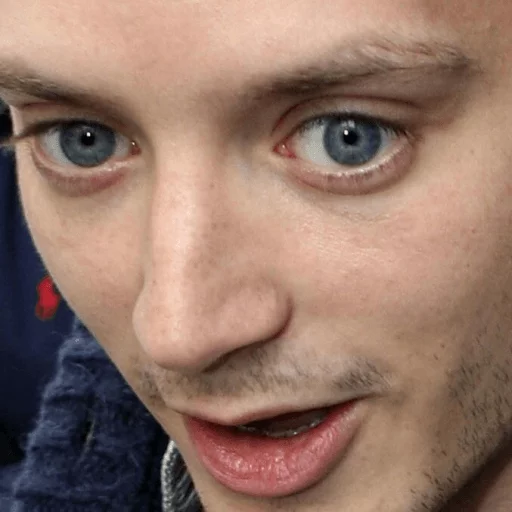 Elijah Wood sticker 3