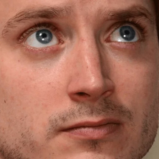 Elijah Wood sticker 21
