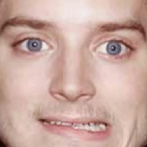 Elijah Wood sticker 22
