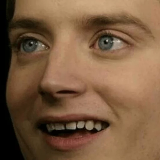 Elijah Wood sticker 23